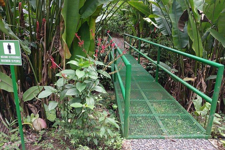 Excursion d'observation des animaux avec biologiste près de La Fortuna