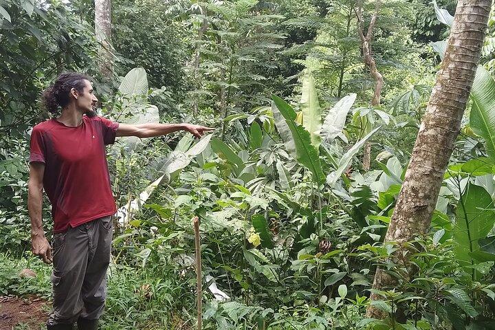 Excursion d'observation des animaux avec biologiste près de La Fortuna