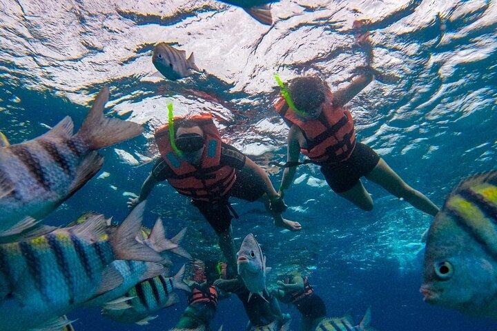 Magnifica esplorazione di El Cielo Palancar e Columbia Reefs