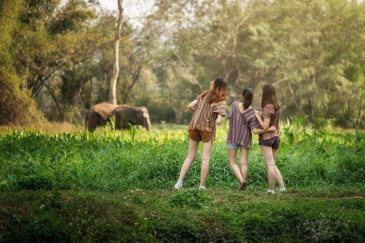 Elephant Sanctuary med thailandsk madlavning i Chiang Mai