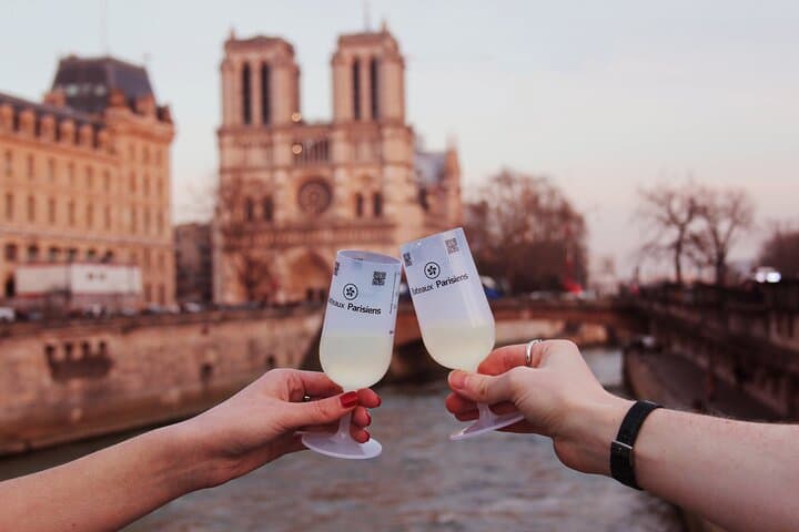 Evening Champagne Cruise from Notre-Dame by Bateaux Parisiens