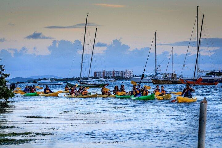 Laguna Grande Bio Bay Experience Pickup Transportation