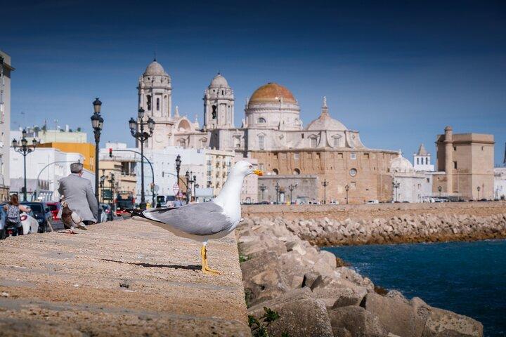 Tour naar Cadiz vanuit Sevilla