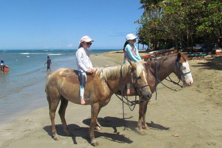 Balade à cheval sur la plage à Puerto Plata - Scenic & Fun pour tous