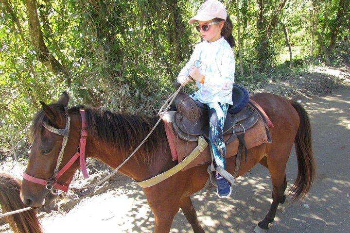 Balade à cheval sur la plage à Puerto Plata - Scenic & Fun pour tous