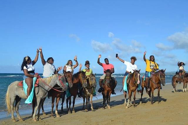 Beach Horseback