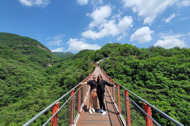 Ganztägige Layover Private DMZ-Tour ab Kreuzfahrt und Flug