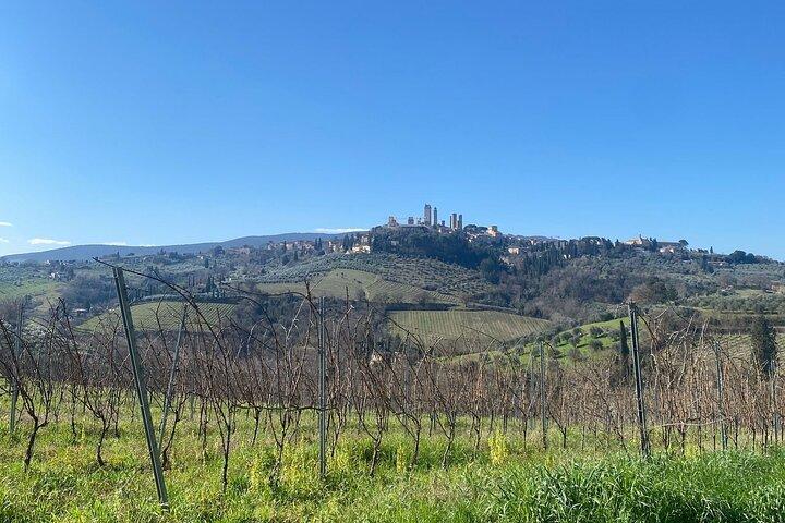 Ronde van San Gimignano en privéwijnervaring in Chianti