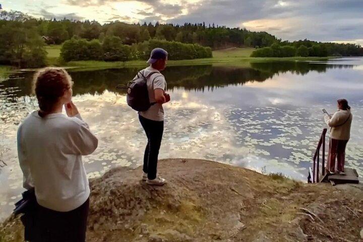 Estocolmo: Caminata al atardecer en el Parque Nacional Tyresta con comida