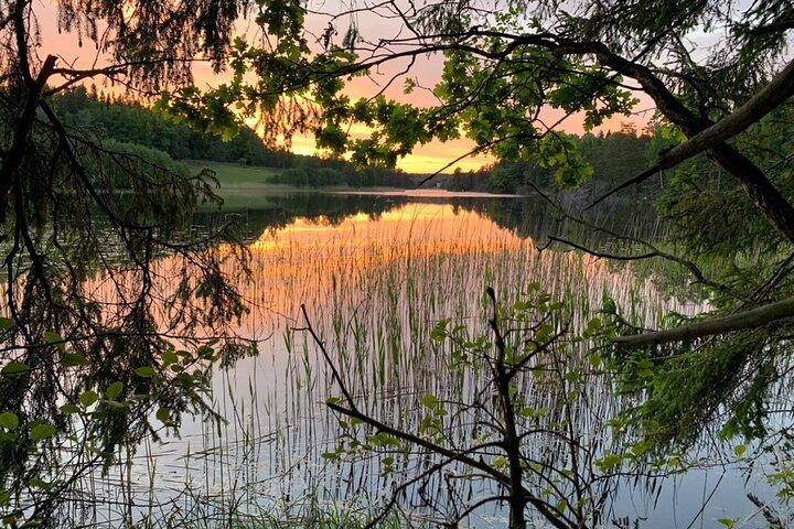 Estocolmo: Caminata al atardecer en el Parque Nacional Tyresta con comida