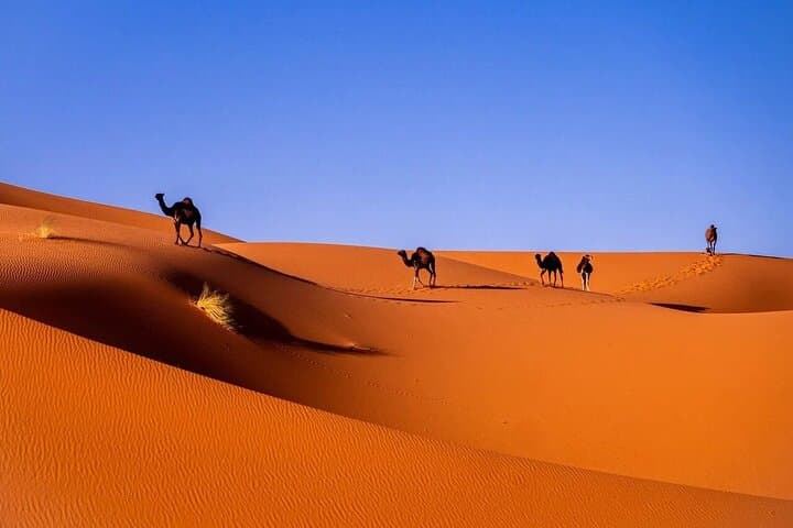 From Errachidia 3 Days 2N Desert Trip with Many drop off location