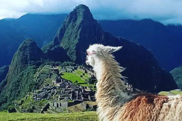 Sacred Valley och Machu Picchu 2 dagar