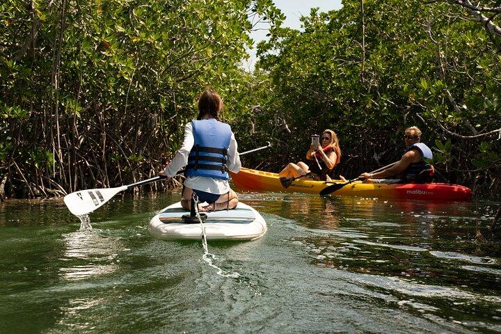Key West Hidden Sanctuary Tour in kayak con mangrovie e bevande