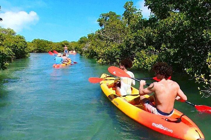 Key West Hidden Sanctuary Tour in kayak con mangrovie e bevande
