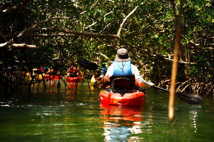 Key West Hidden Sanctuary Tour in kayak con mangrovie e bevande