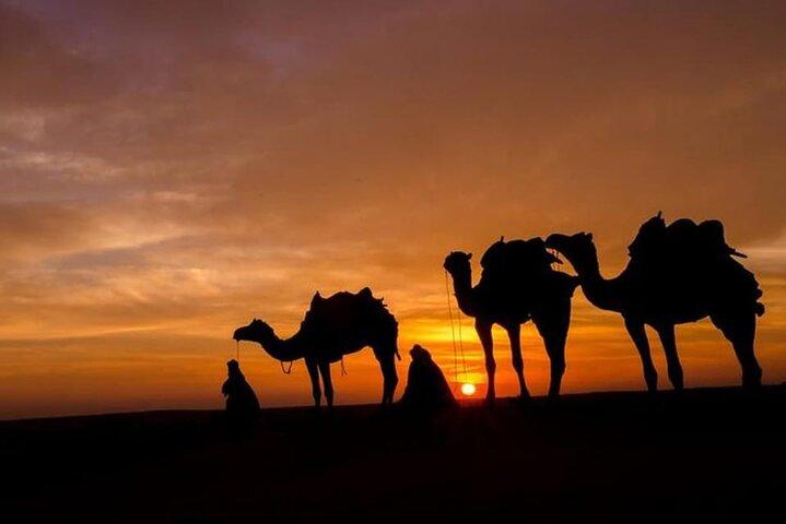Camel Ride and Sunset Dinner in Agafay Desert