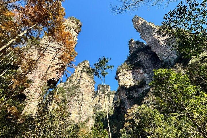 Billetter til Zhangjiajie National Forest Park