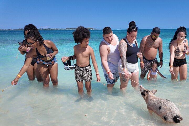 Badgrisar, snorkling och strandtur i Nassau Bahamas