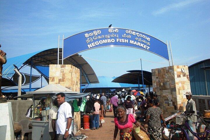 Negombo Stadtrundfahrt mit TUK TUK mit Rom