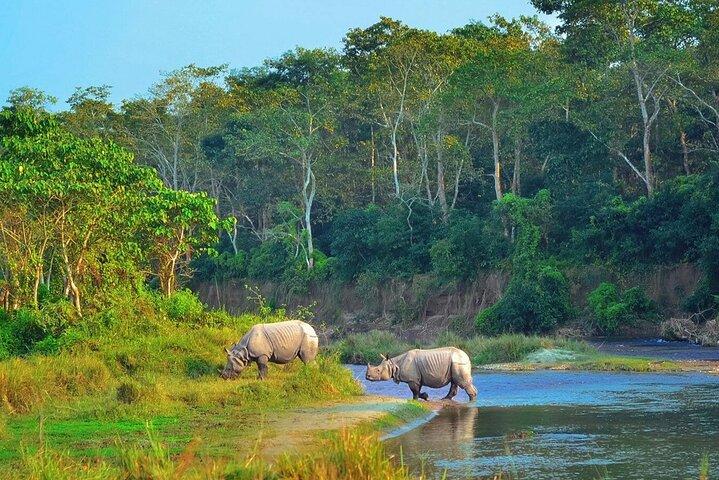 Chitwan Jungle Safari All-Inclusive Paket 2 Nächte 3 Tage