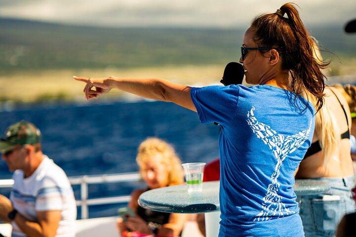 Whale Watch Escursione dalla Big Island