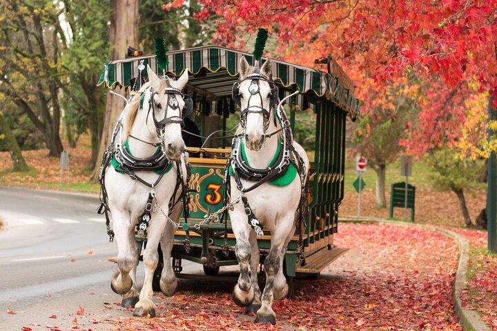 Visita guiada de Stanley Park en Vancouver