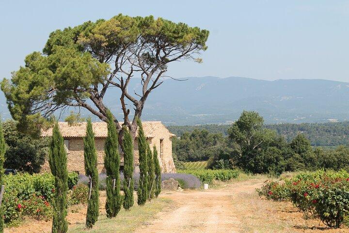 Geschmack der Provence - Wein und Landschaft rund um Aix-en-Provence