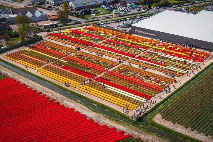 Unique Keukenhof Tour with Ticket, Tulip Field, Tulip Experience