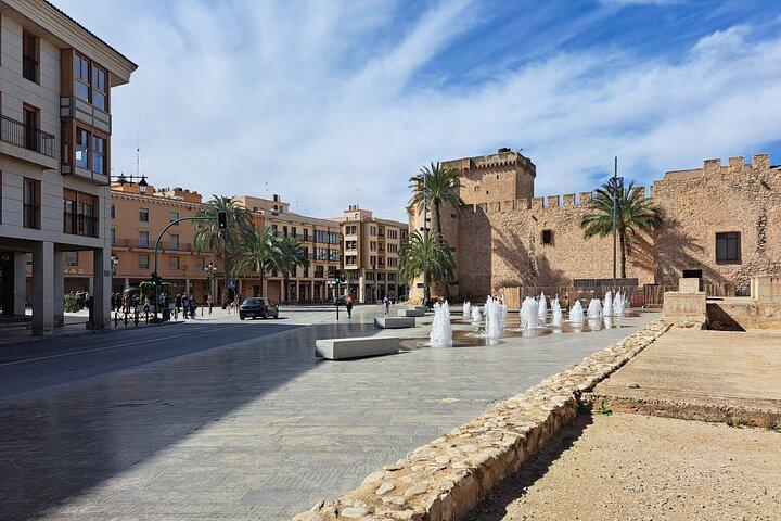 Tour di Alicante e Elche per piccoli gruppi con Palm Grove e castello