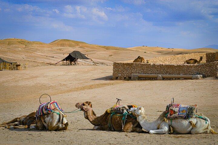Agafay Desert Camel Ride With Dinner And Sunset Spectacle