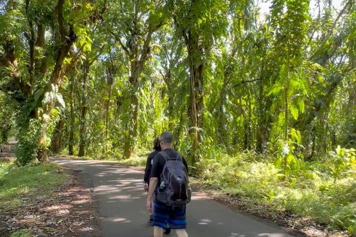 Secret Tide Pool Hike - Jungle & Coast - Privado