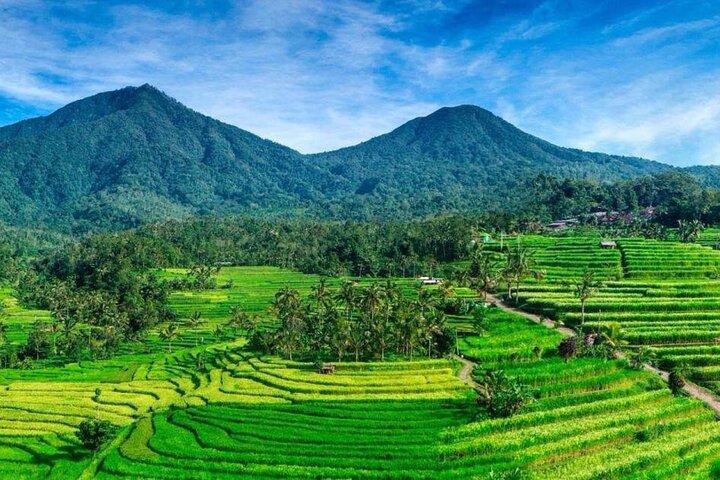 North Bali : Sekumpul e Banyumala Waterfall & Rice Terraces