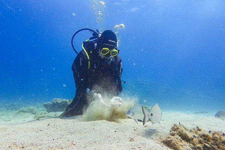 Prøv dykning i Budva: Boat Experience & Underwater Tunnels
