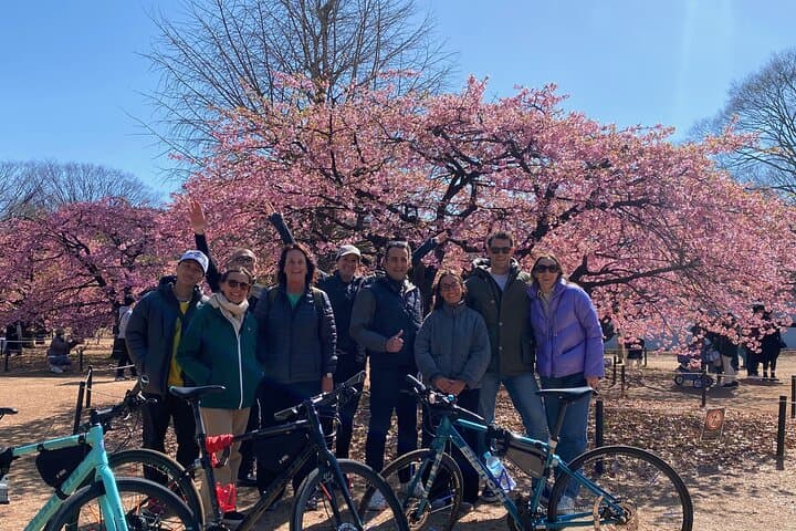 Tokyo: 3-Hour Bike/E-Bike Tour of the City's Highlights