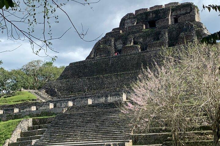 Xunantunich Maya-templer og hulerør-paradis