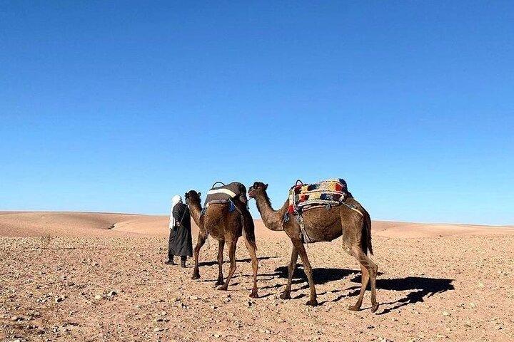 Agafay Desert Camel Ride With Dinner And Sunset Spectacle