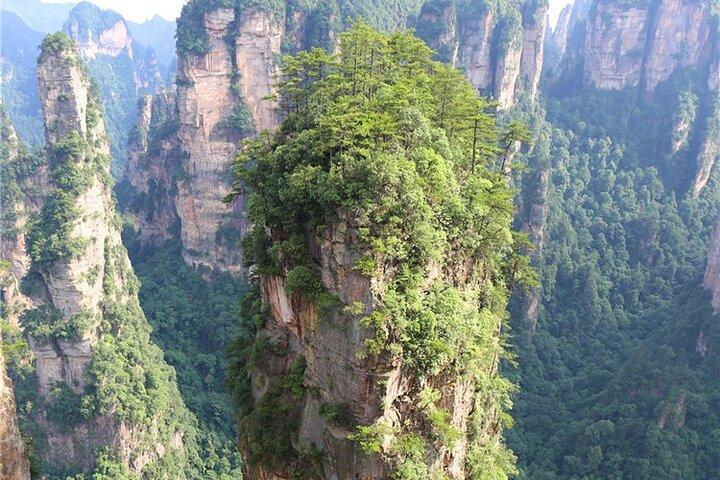 Parco Nazionale Forestale Avatar Mountain Day Tour