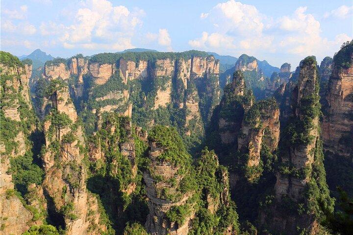 Parco Nazionale Forestale Avatar Mountain Day Tour