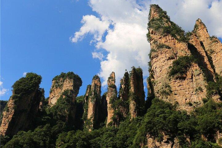Parco Nazionale Forestale Avatar Mountain Day Tour