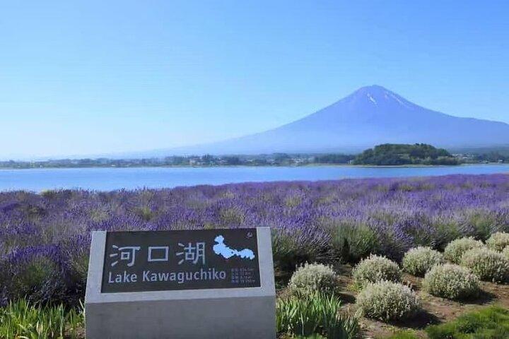Private Car Tour to Mt. Fuji Lake Kawaguchiko