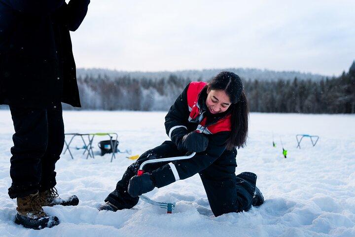 Sneeuwscooter- en ijsviservaring