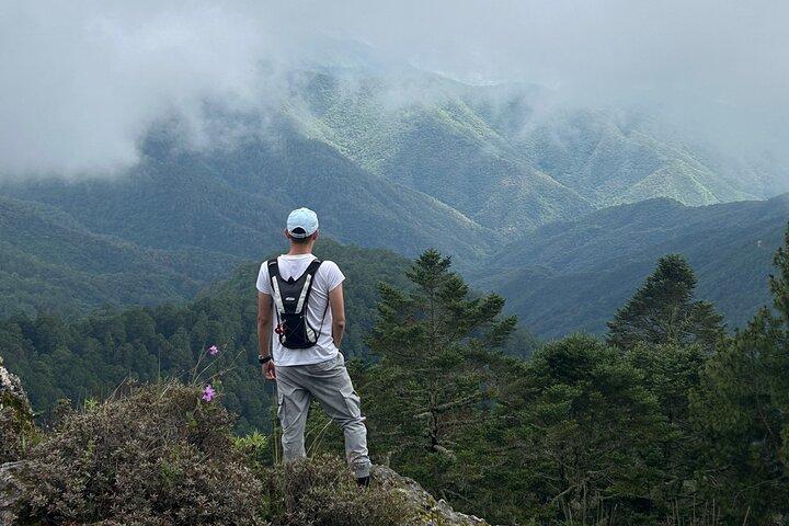 Wandern durch den Wald der Sierra Norte von Oaxaca