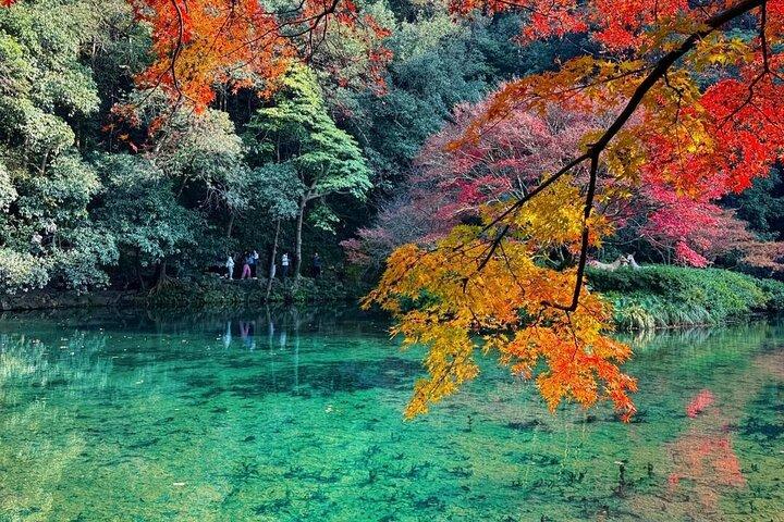 Private Hangzhou bil og gåtur