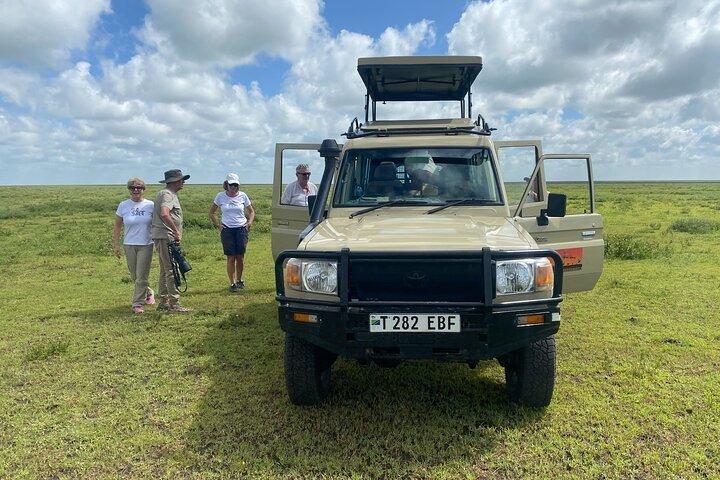 Excursão de um dia Tarangire National Park, Arusha