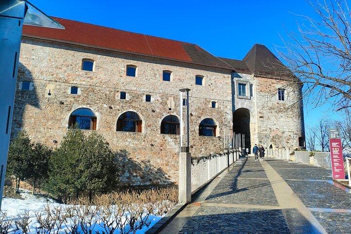 Tour di gruppo della città vecchia e del castello a Lubiana