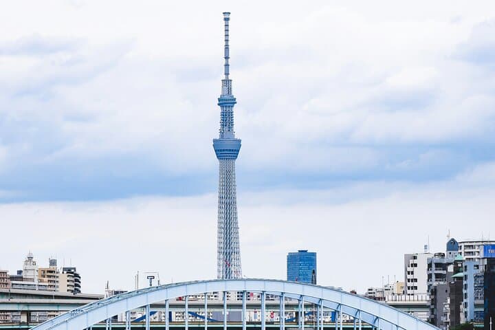 Tokyo Private Full Day Tour: Discover best of Japan’s Capital