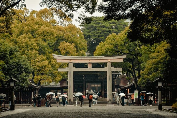 Tokyo Private Full Day Tour: Discover best of Japan’s Capital