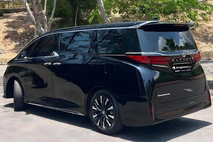 Tokyo City Ride by Luxury Green Plate Car - anpassad destination