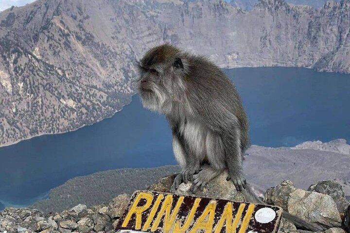 Mount Rinjani 2D 1N trekking naar de top