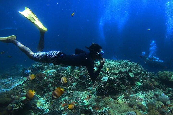 Snorkel con Mantarrayas en Nusa Penida